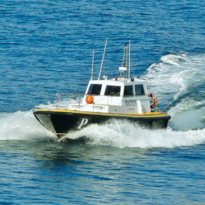 Croisière en Baie de Canche et visite de MAREIS